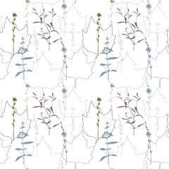 Summer flowers, herbs and leaves floral vector seamless pattern. Realistic botanical background with hand drawn chicory flowers, maple leaves and herbal grasses.