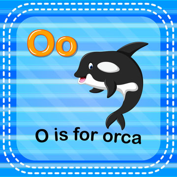 Flashcard letter O is for orca