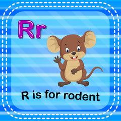 Flashcard letter R is for rodent