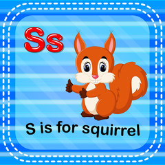 Flashcard letter S is for squirrel