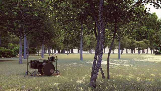 Fototapeta black drums in the forest