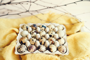 Easter eggs, quail eggs in a sacking bag, dry branches