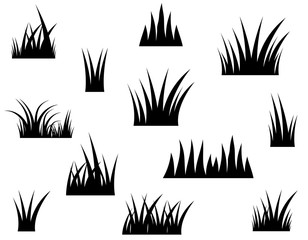 Black vector grass silhouette on white background - 187220762