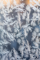 Frost snowflakes on winter window