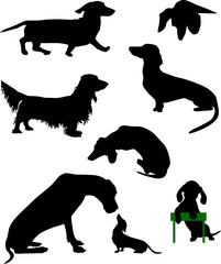Silhouettes of dachshunds. Vector illustration. Set 3