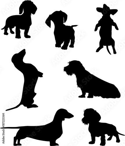 Download "Silhouettes of dachshunds. Vector illustration. Set 2 ...