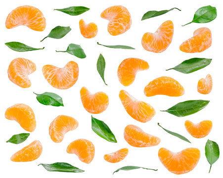 Many mandarin slices and leaves at various angles on white background