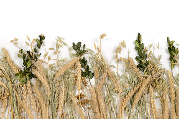 Stems of wheet, rye, flax, oat and periwinkle on white background. Concept symbol of welfare and...