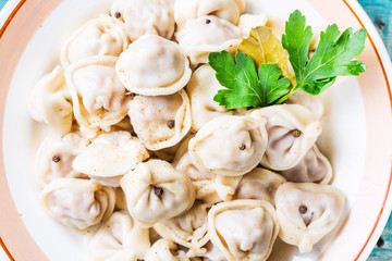 Homemade Meat Dumplings russian pelmeni with parsley in plate close up. Top view