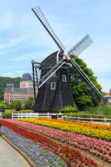 Obraz premium Colorful flower garden with windmill