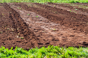 Agricultural land with fertile soil in Asturias, Spain
