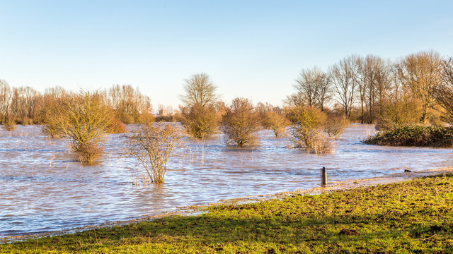 Landscape with flooded river Rhine near Arnhem in the Netherlands