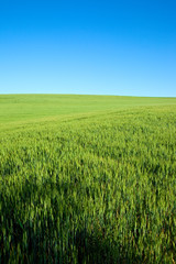 Paysage de campagne en France