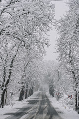 Obraz premium Winter road. Country road through forest. Travel concept.