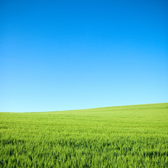 Obraz premium Paysage de campagne en France