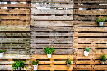 green thumb background copy space pallets wooden texture