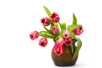 red tulips in a vase