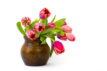 red tulips in a vase