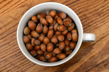 Fresh hazel nuts for autumn season
