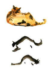 Cute watercolor cats on white background. Sketch set