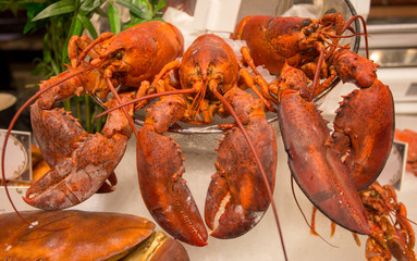 Fresh cooked Lobsters