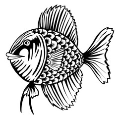 Cartoon of cute fish outline drawing