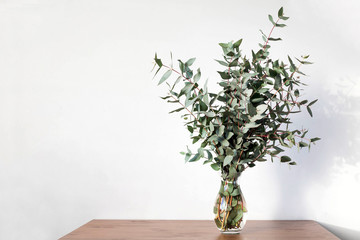 Branches of eucalyptus in a vase on the table