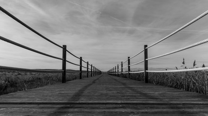 Boardwalk at Salgados, Portugal in black and white