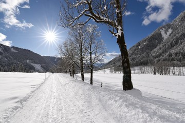 Winterlandschaft