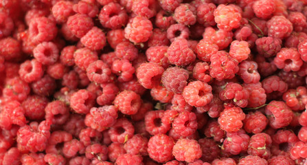 Fruits of ripe raspberries.
