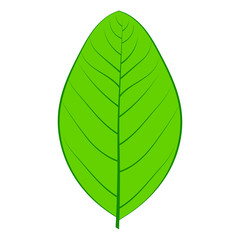 Eco icon green leaf