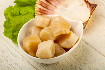 Raw scallops heap