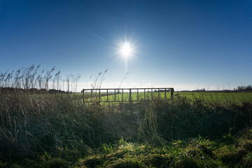 Das alte Tor im Feld