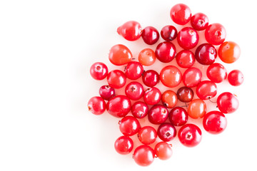 Red currants isolated on a white