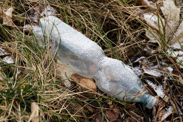 Waste and rubbish in the forest. Plastic bottles, cans and glass in the forest. Littered nature.