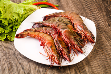 Raw big tiger prawn