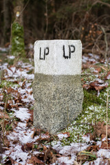 Branch post in the forest. Marking in forest area. A stone post painted white with black numbers.