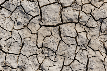 Texture of dry land close-up