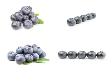 Group of blueberry isolated on a white background with clipping path