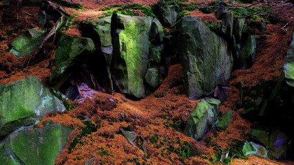 Skały mech © Małgorzata