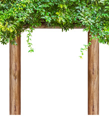 Natural rest pavilion