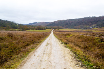 Empty mountain road with near the coniferous forest with cloudy sky in evening light