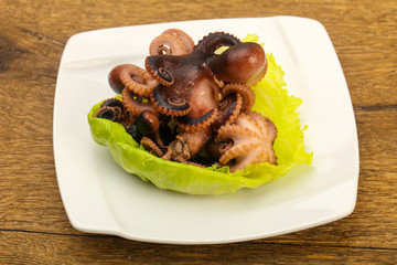 Boiled baby octopuses