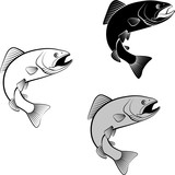 trout - clip art illustration and  silhouette