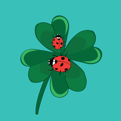 Ladybugs on cloverleaf. Vector illustration on turquoise background