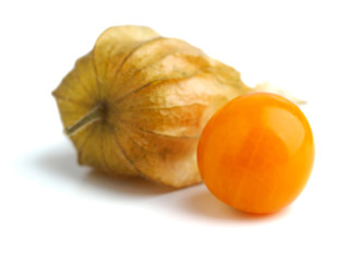 Physalis isolated on white