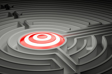 Target inside labyrinth maze. 3D rendering