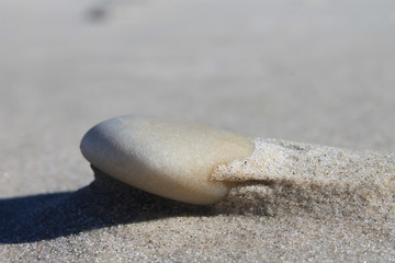 Stein am Meer