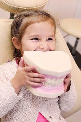 baby girl smiling sitting in dental chair with artificial jaw in hands