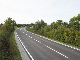 Fototapeta na wymiar Empty road between green bushes in the summer